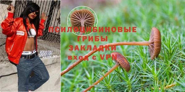 шишки Осташков