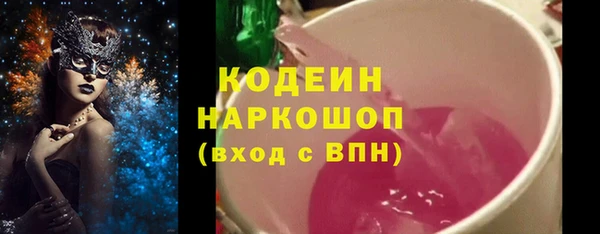 шишки Осташков
