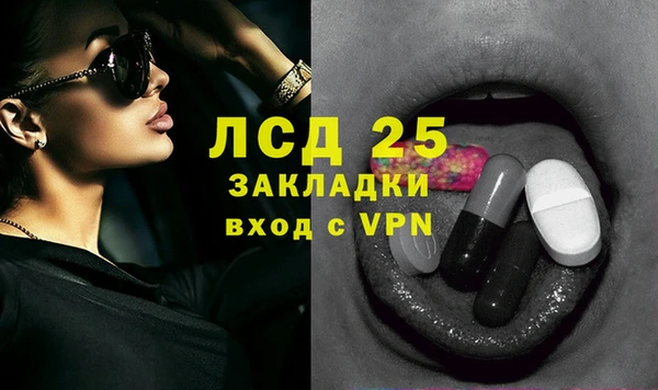 шишки Осташков