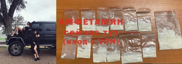 шишки Осташков