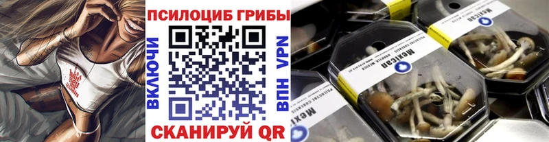 Псилоцибиновые грибы прущие грибы  Электросталь 