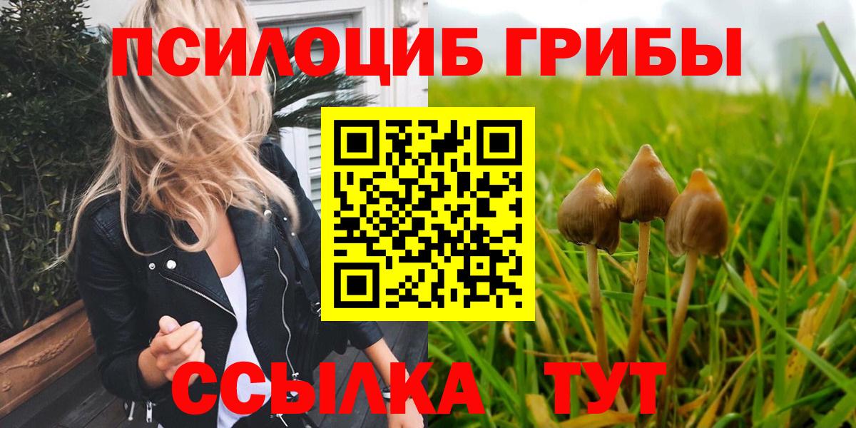 Псилоцибиновые грибы Psilocybine cubensis  Галлюциногенные грибы мухоморы  Электросталь  Вход с VPN 